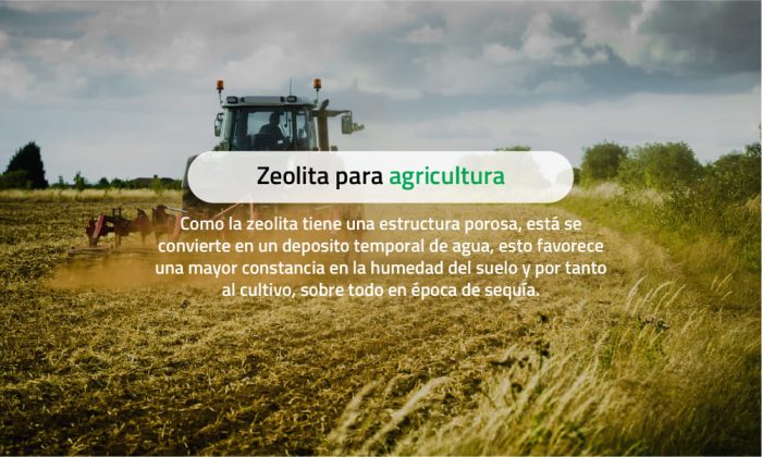 zeolita-agricultura-.jpg